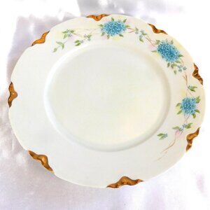 Thomas Set of Four White Dinner Plates with Blue Flowers # 23588